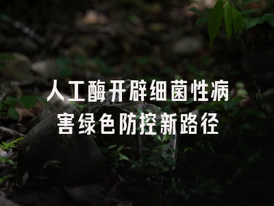 人工酶开辟细菌性病害绿色防控新路径