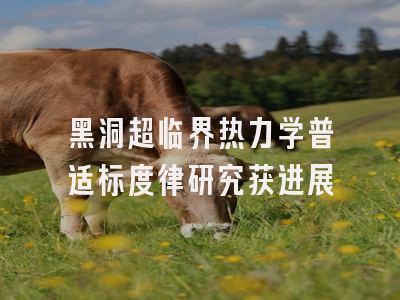 黑洞超临界热力学普适标度律研究获进展