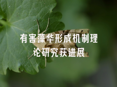 有害藻华形成机制理论研究获进展