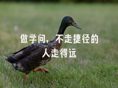 做学问，不走捷径的人走得远