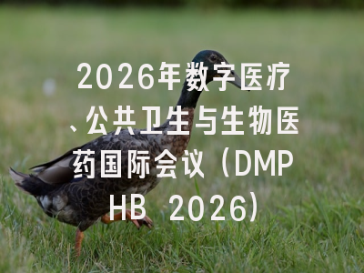 2026年数字医疗、公共卫生与生物医药国际会议（DMPHB 2026）