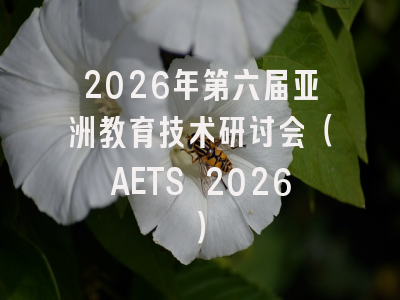 2026年第六届亚洲教育技术研讨会（AETS 2026）