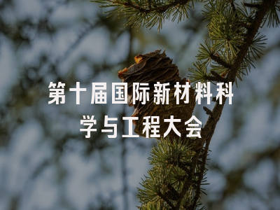 第十届国际新材料科学与工程大会