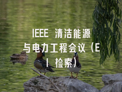 IEEE 清洁能源与电力工程会议（EI 检索）
