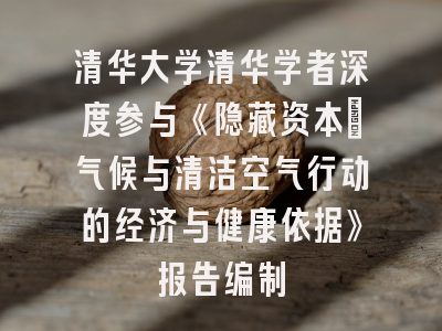 清华大学清华学者深度参与《隐藏资本:气候与清洁空气行动的经济与健康依据》报告编制