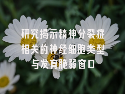 研究揭示精神分裂症相关的神经细胞类型与发育脆弱窗口