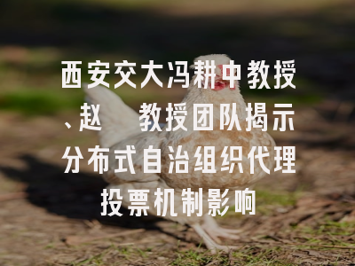 西安交大冯耕中教授、赵玺教授团队揭示分布式自治组织代理投票机制影响
