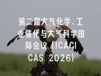 第二届大气化学、工业催化与大气科学国际会议(ICACICAS 2026)