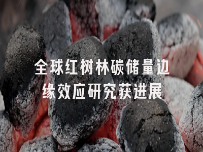 全球红树林碳储量边缘效应研究获进展
