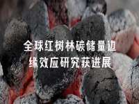 学术会议在线