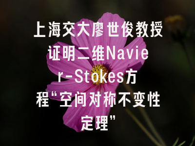 上海交大廖世俊教授证明二维Navier-Stokes方程“空间对称不变性定理”