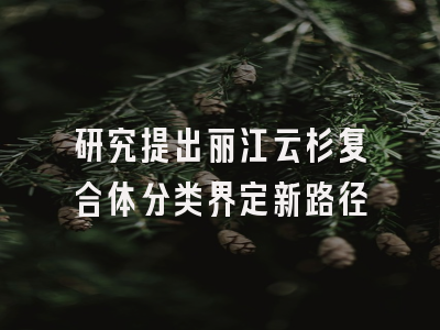 研究提出丽江云杉复合体分类界定新路径