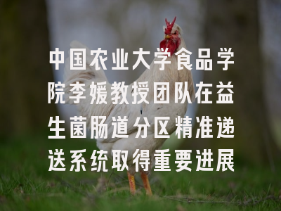 中国农业大学食品学院李媛教授团队在益生菌肠道分区精准递送系统取得重要进展