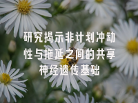 学术会议在线