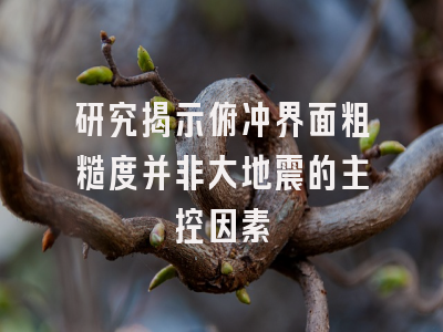 研究揭示俯冲界面粗糙度并非大地震的主控因素
