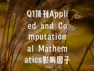 Q1顶刊Applied and Computational Mathematics影响因子3.80中