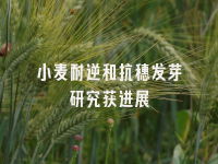 学术会议在线