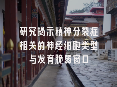 研究揭示精神分裂症相关的神经细胞类型与发育脆弱窗口