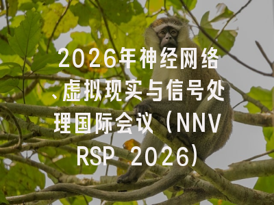 2026年神经网络、虚拟现实与信号处理国际会议（NNVRSP 2026）