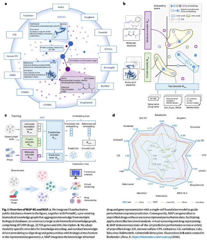 Nature Machine Intelligence: 迈向真正的“虚拟细胞”——上海交大人工智能学院破解未知药物单细胞响应预测难题的新框架