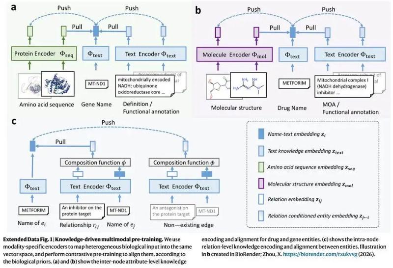 Nature Machine Intelligence: 迈向真正的“虚拟细胞”——上海交大人工智能学院破解未知药物单细胞响应预测难题的新框架