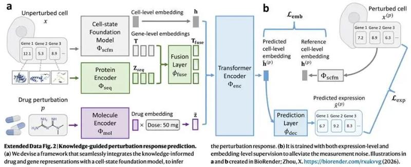 Nature Machine Intelligence: 迈向真正的“虚拟细胞”——上海交大人工智能学院破解未知药物单细胞响应预测难题的新框架