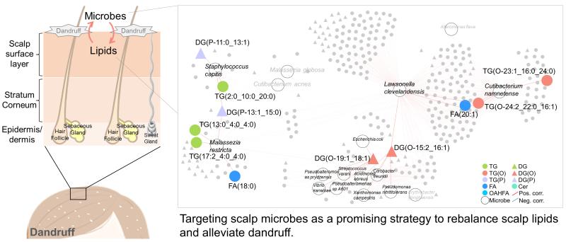系统生物医学研究院张延课题组与珀莱雅上海产学研结合促进头皮健康技术高质量发展