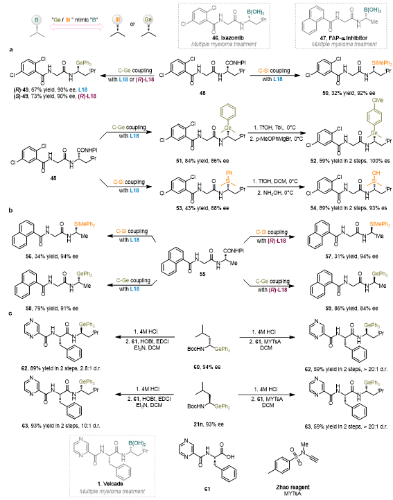 上海交大变革性分子前沿科学中心朱峰课题组通过对映选择性脱羧构建手性α-硅基胺和α-锗基胺