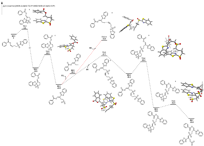 上海交大变革性分子前沿科学中心朱晨课题组基于GTRP策略设计合成一类远端带迁移基团的脂肪族炔烃单体