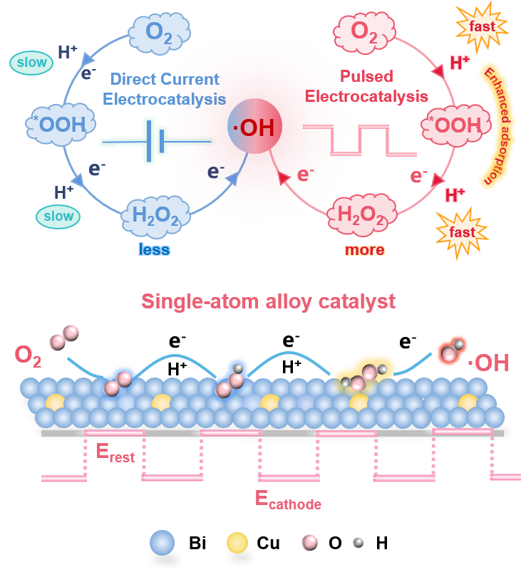 化学科学与工程学院赵国华团队提出脉冲电催化新策略,实现高效三电子氧还原产羟基自由基,为绿色水处理提供新路径,成果发表于《德国应用化学》