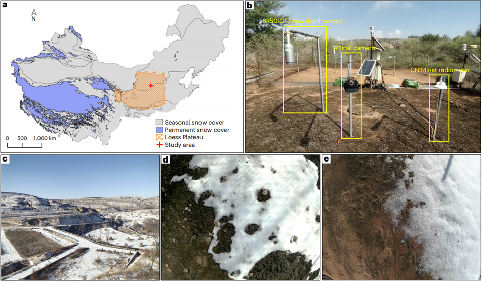 中国农业大学土地学院肖波教授团队在“Nature Geoscience”发文揭示生物结皮支撑地表雪被和土壤功能的机制