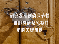 学术会议在线
