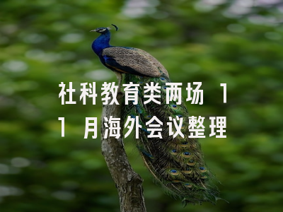 社科教育类两场 11 月海外会议整理